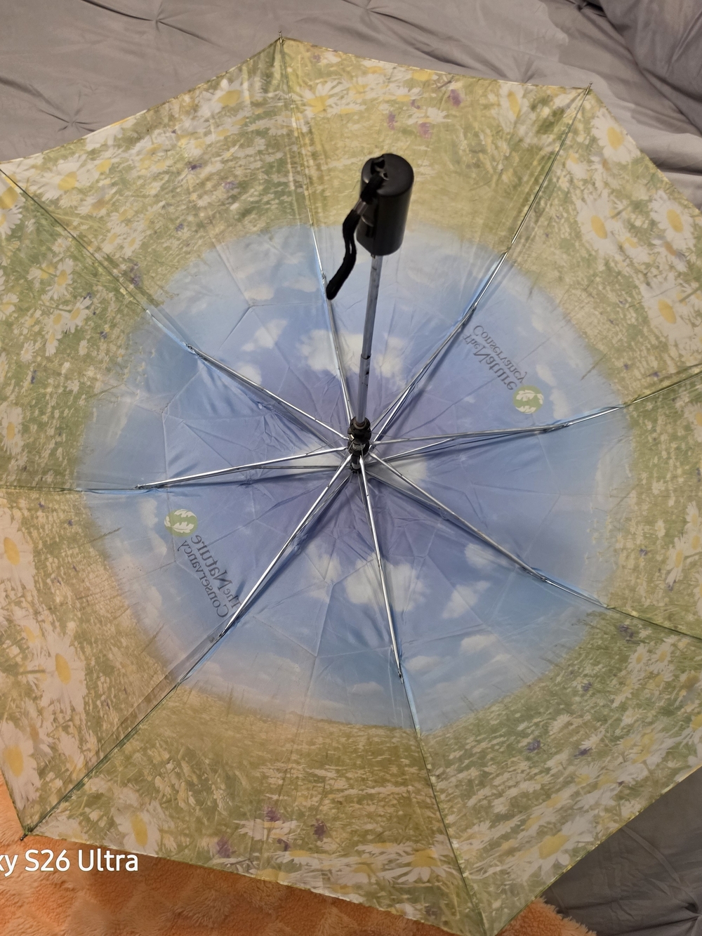 Countryside Floral Compact Umbrella - Blue & Green